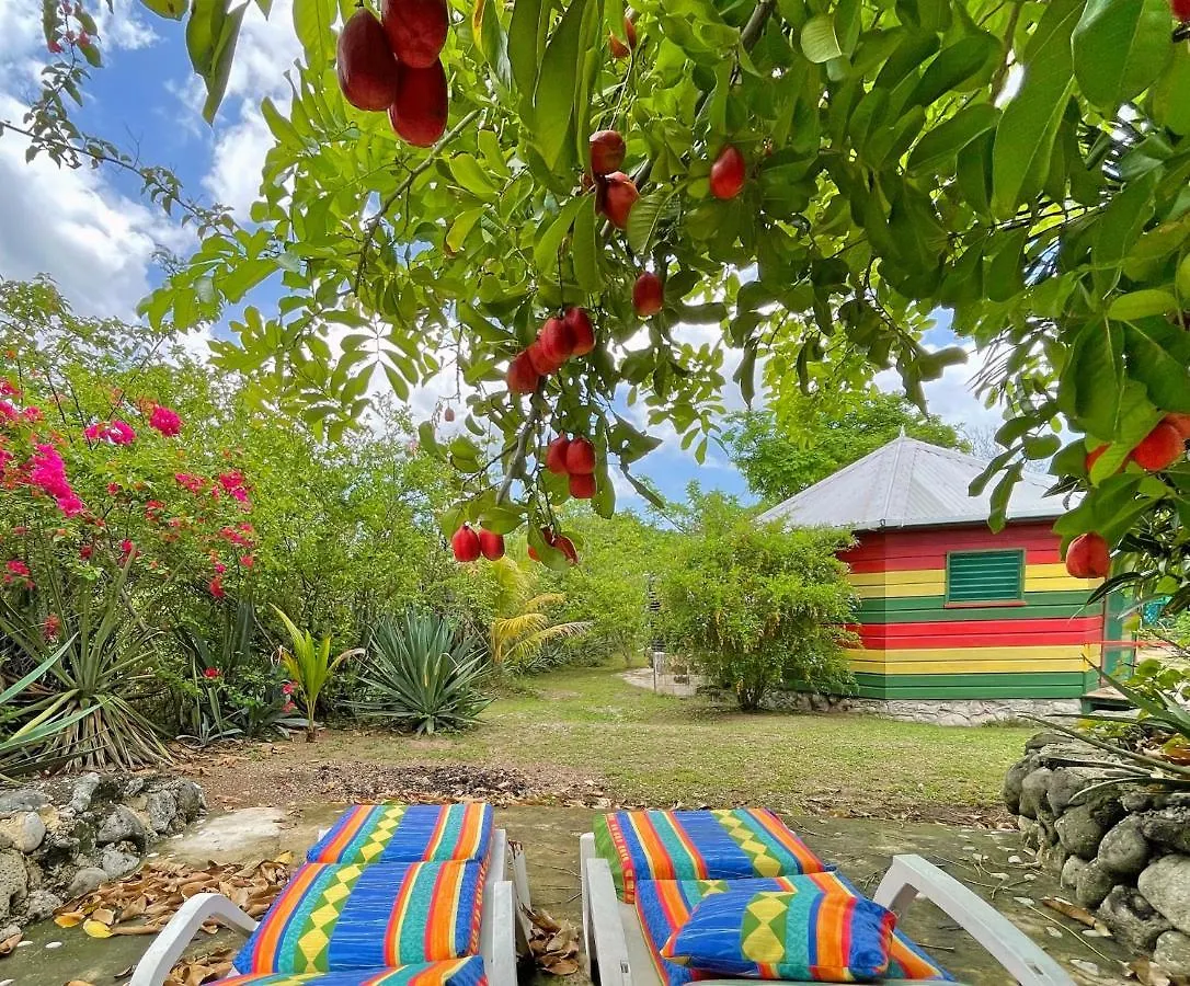 Judy House 2 - Lewis Backpacker Hostel Little Bay
